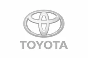 MyTeamBuilding_toyota-grey 1449